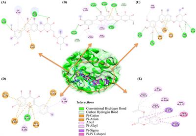 A computational assay for identifying millet-derived compounds that antagonize the interaction between bisphenols and estrogen-related receptor gamma